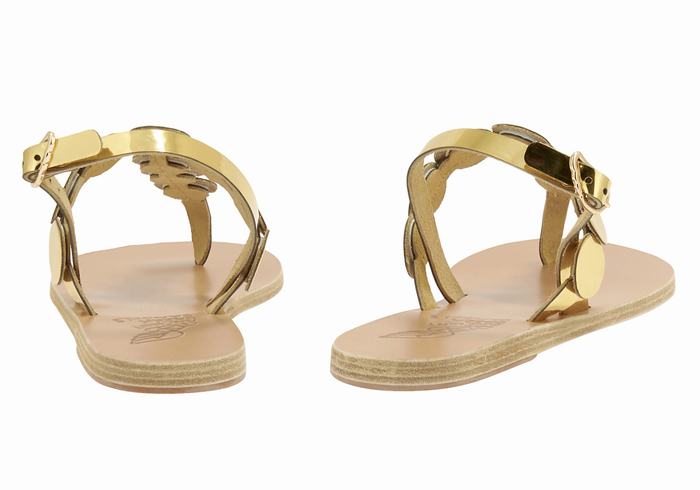 Sandales Bride Arrière Ancient Greek Sandals Ilios Flip Flop Leather   | ZVU-2982075